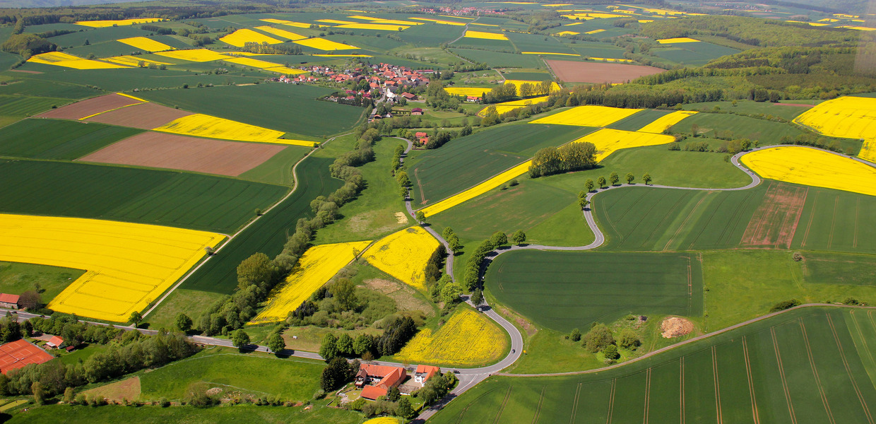 Landschaftsbild